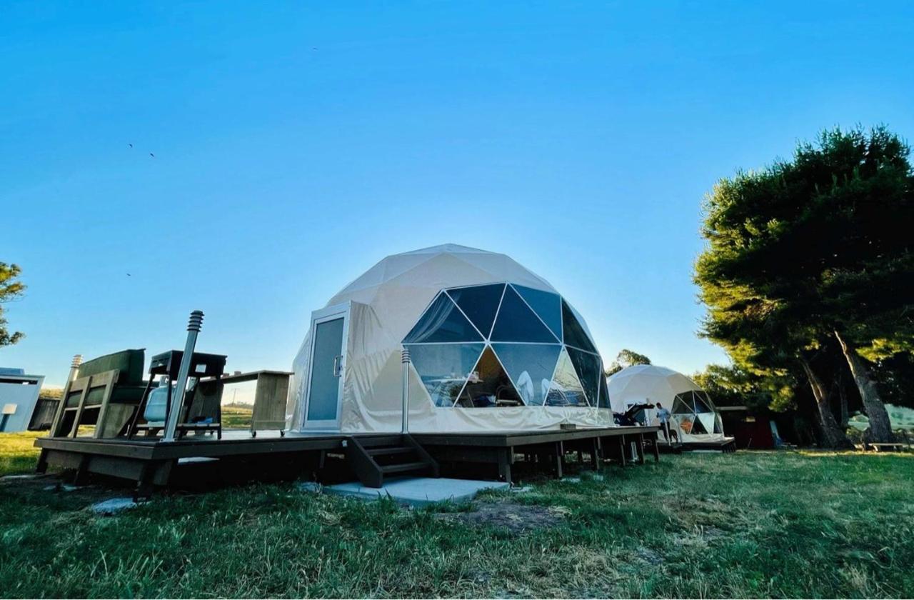 Hillview Farmstay Gundagai Ngoại thất bức ảnh