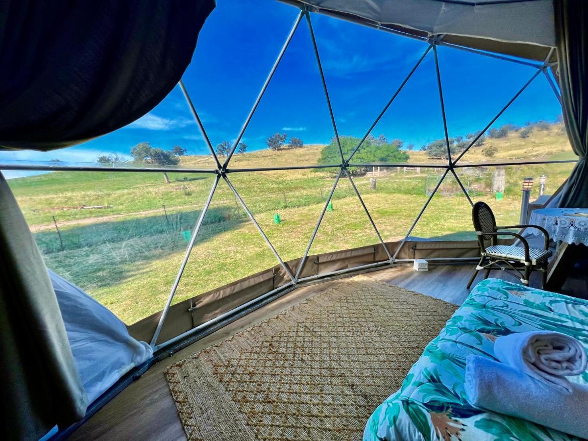 Hillview Farmstay Gundagai Ngoại thất bức ảnh