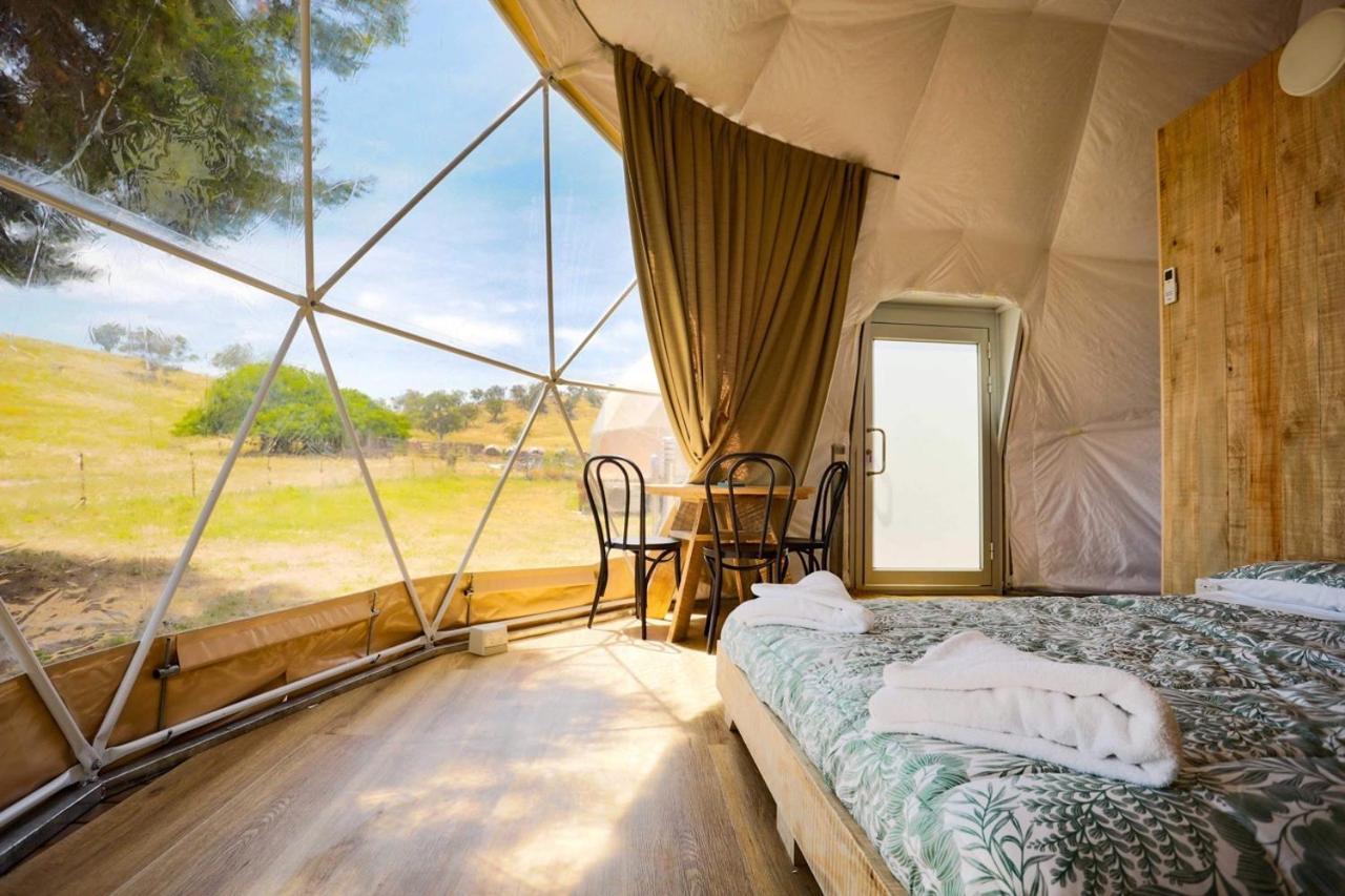 Hillview Farmstay Gundagai Ngoại thất bức ảnh