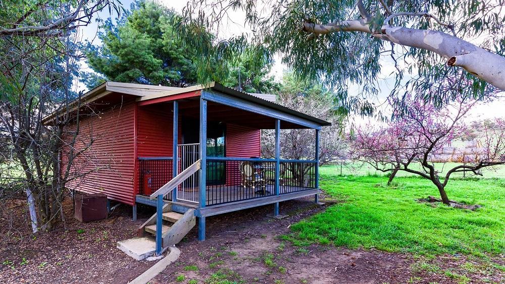 Hillview Farmstay Gundagai Ngoại thất bức ảnh