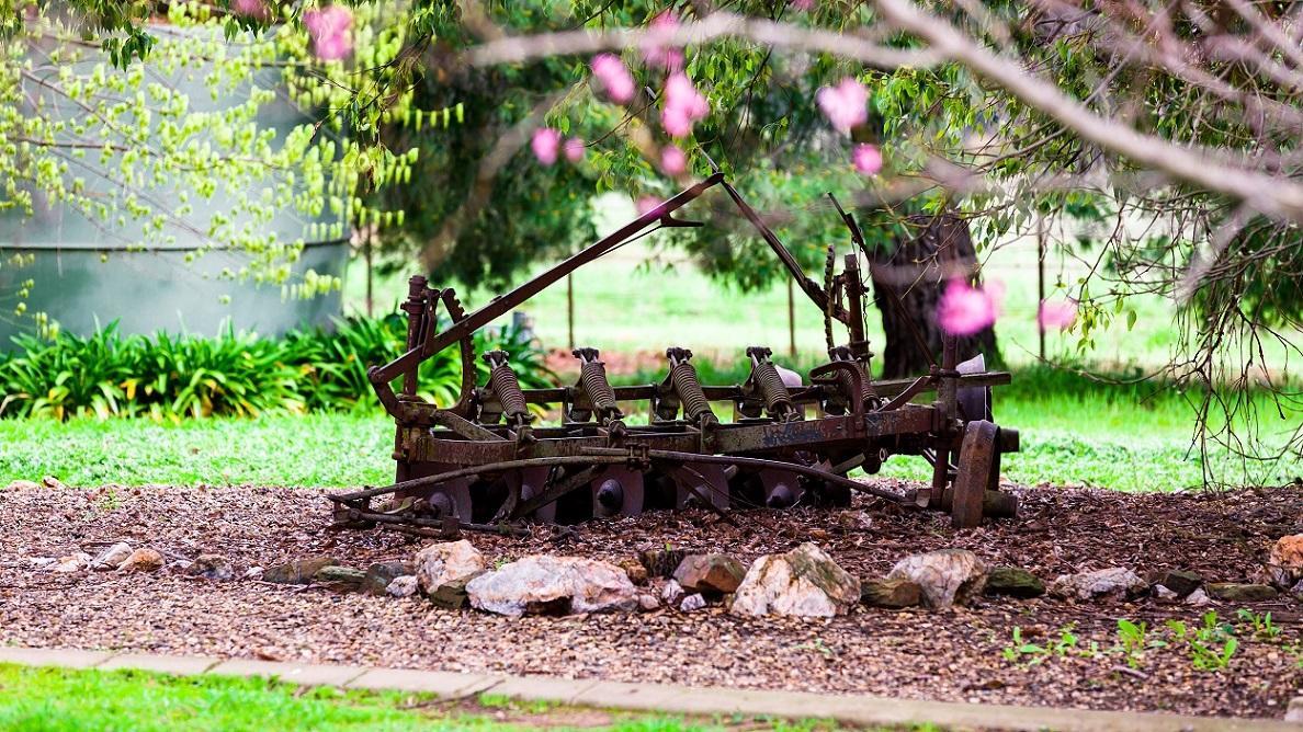 Hillview Farmstay Gundagai Ngoại thất bức ảnh