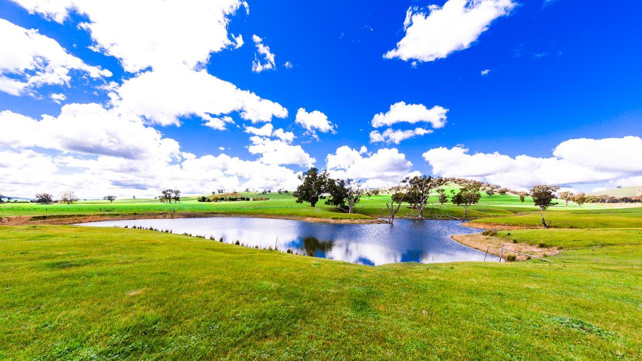 Hillview Farmstay Gundagai Ngoại thất bức ảnh