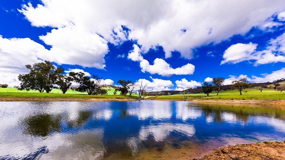 Hillview Farmstay Gundagai Ngoại thất bức ảnh