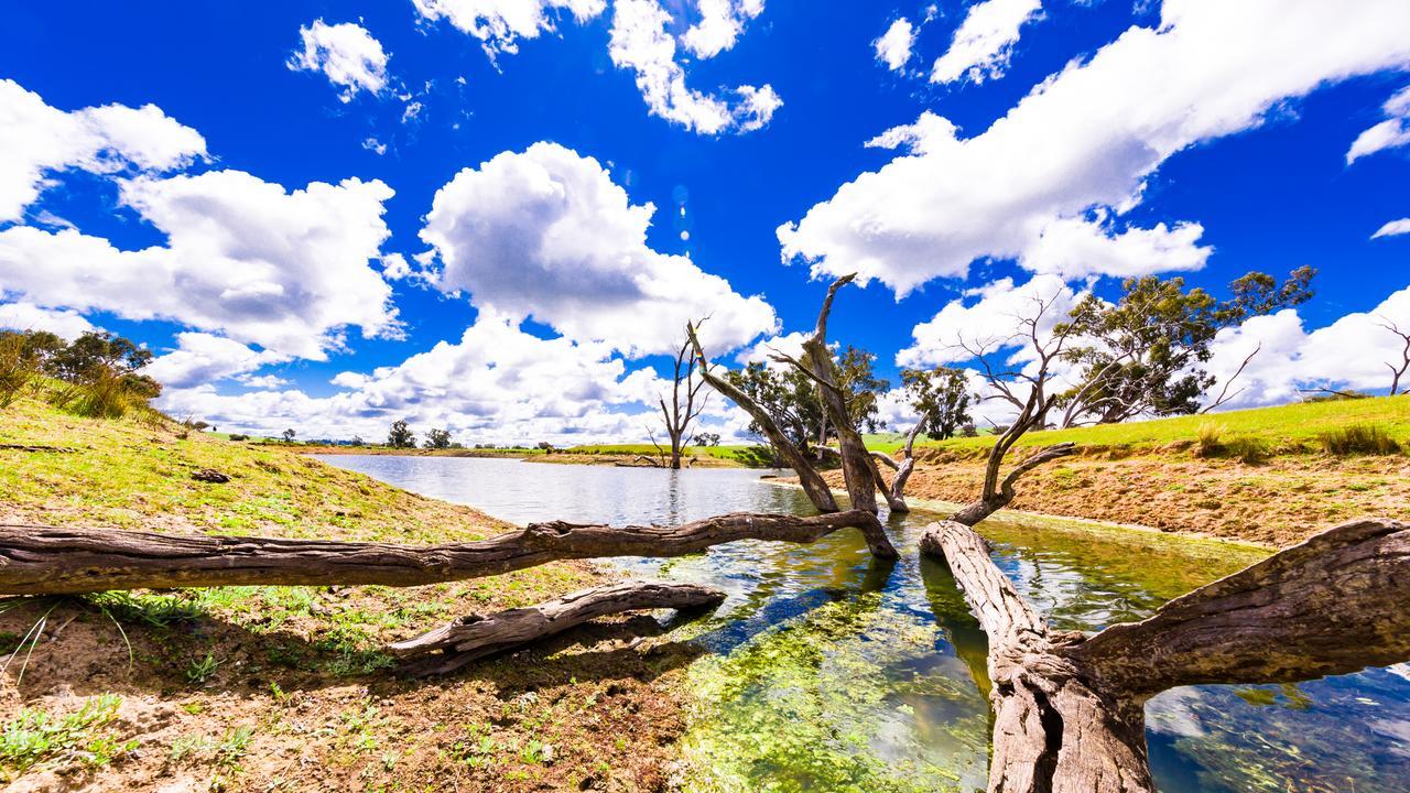 Hillview Farmstay Gundagai Ngoại thất bức ảnh