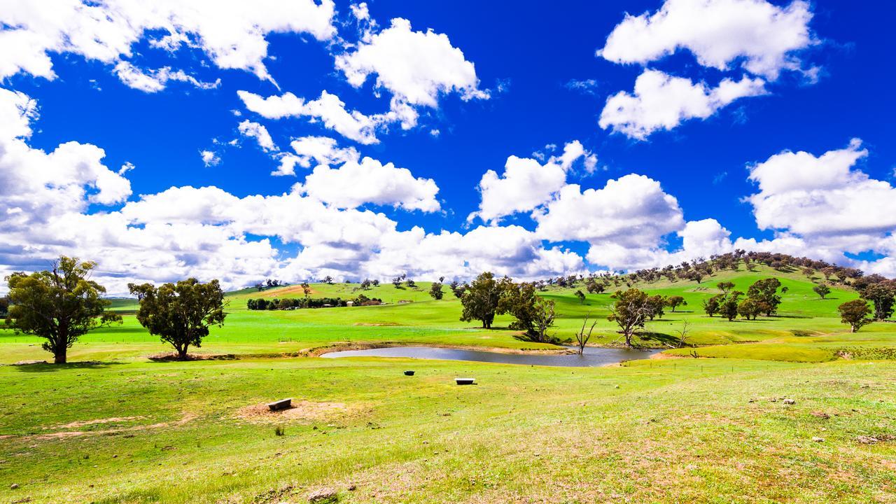 Hillview Farmstay Gundagai Ngoại thất bức ảnh