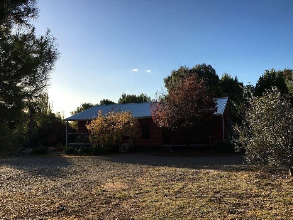 Hillview Farmstay Gundagai Ngoại thất bức ảnh