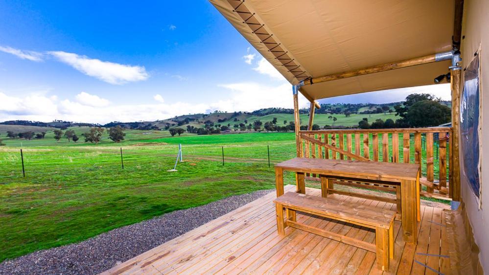 Hillview Farmstay Gundagai Ngoại thất bức ảnh